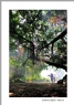  第七届葵乡文化艺术节摄影类获奖作品欣赏(1)_在线影展的作品